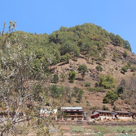 Solid Rock - Lodge & Restaurant Pharping Ngoại thất bức ảnh