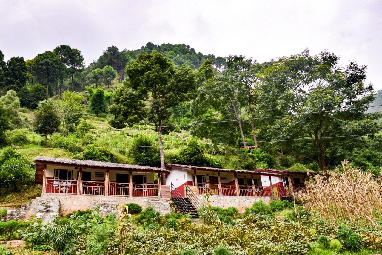 Solid Rock - Lodge & Restaurant Pharping Ngoại thất bức ảnh