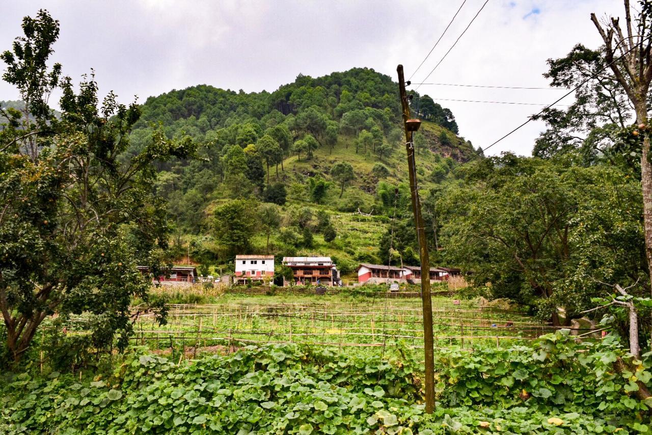 Solid Rock - Lodge & Restaurant Pharping Ngoại thất bức ảnh
